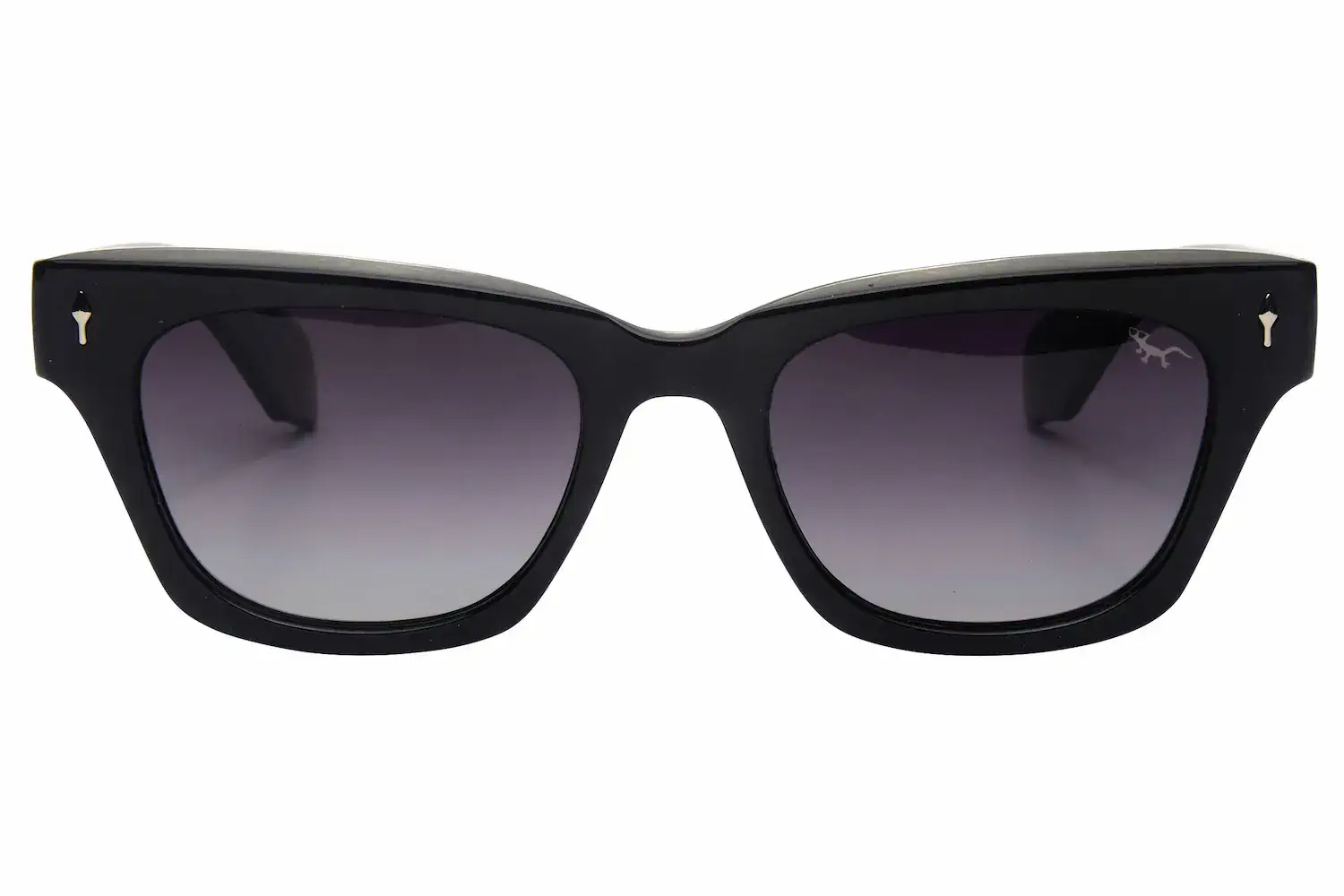 ARUBA – Gafas de Sol Negras Polarizadas