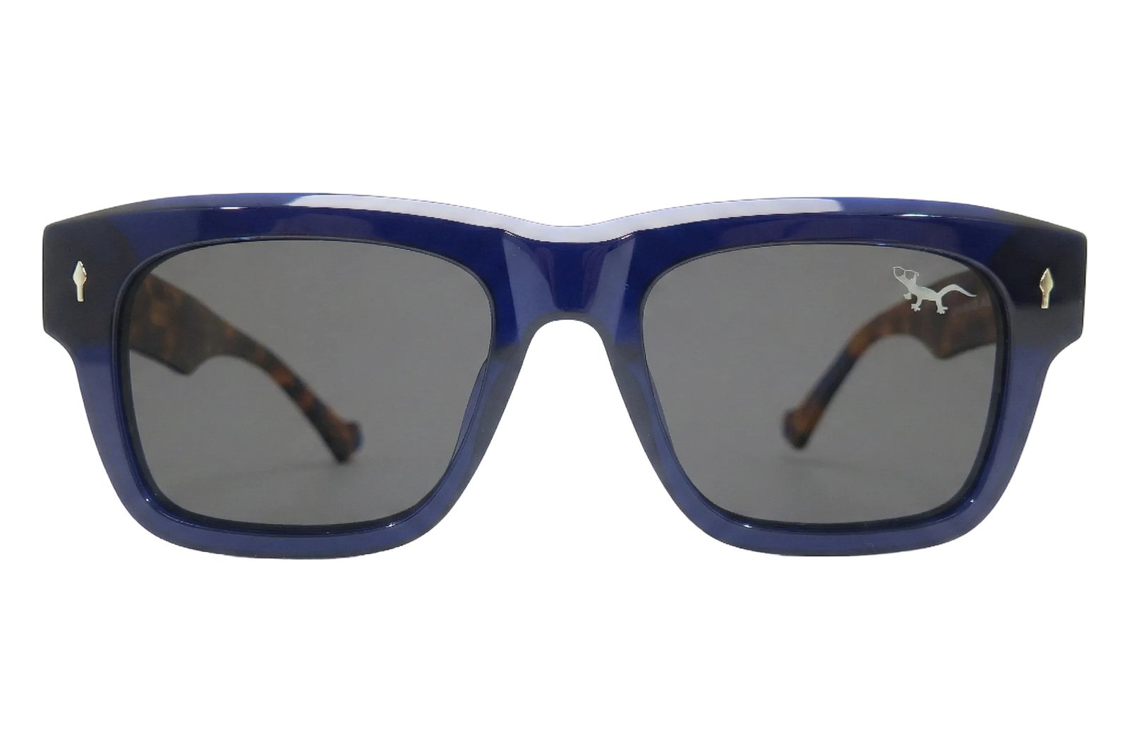 RODAS – Gafas de Sol Wayfarer Azul con Patillas Carey