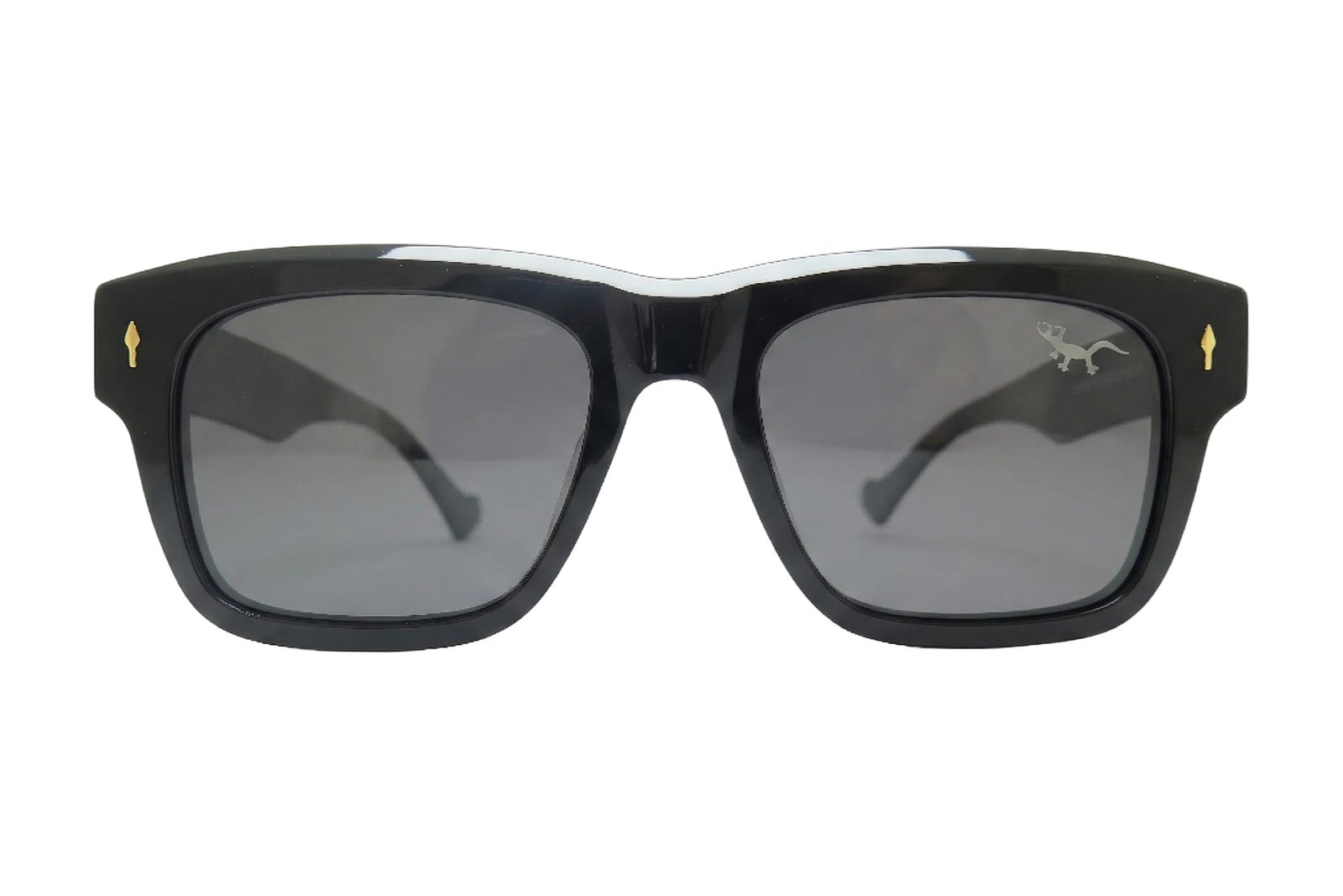 RODAS – Gafas de Sol Wayfarer Negras
